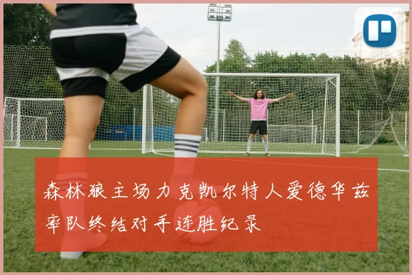 森林狼主场力克凯尔特人爱德华兹率队终结对手连胜纪录